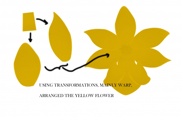 Creation of Plants: Step 4